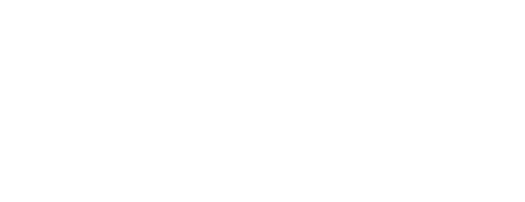 Innuos logo white